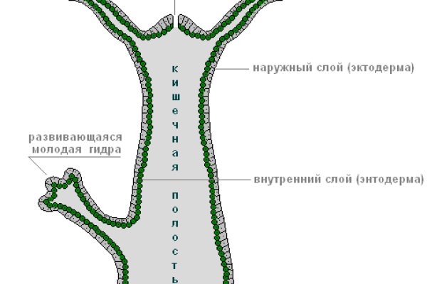 Кракен даркнет что известно