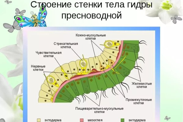 Vk8 at кракен